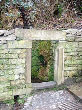 St. Chad's Well